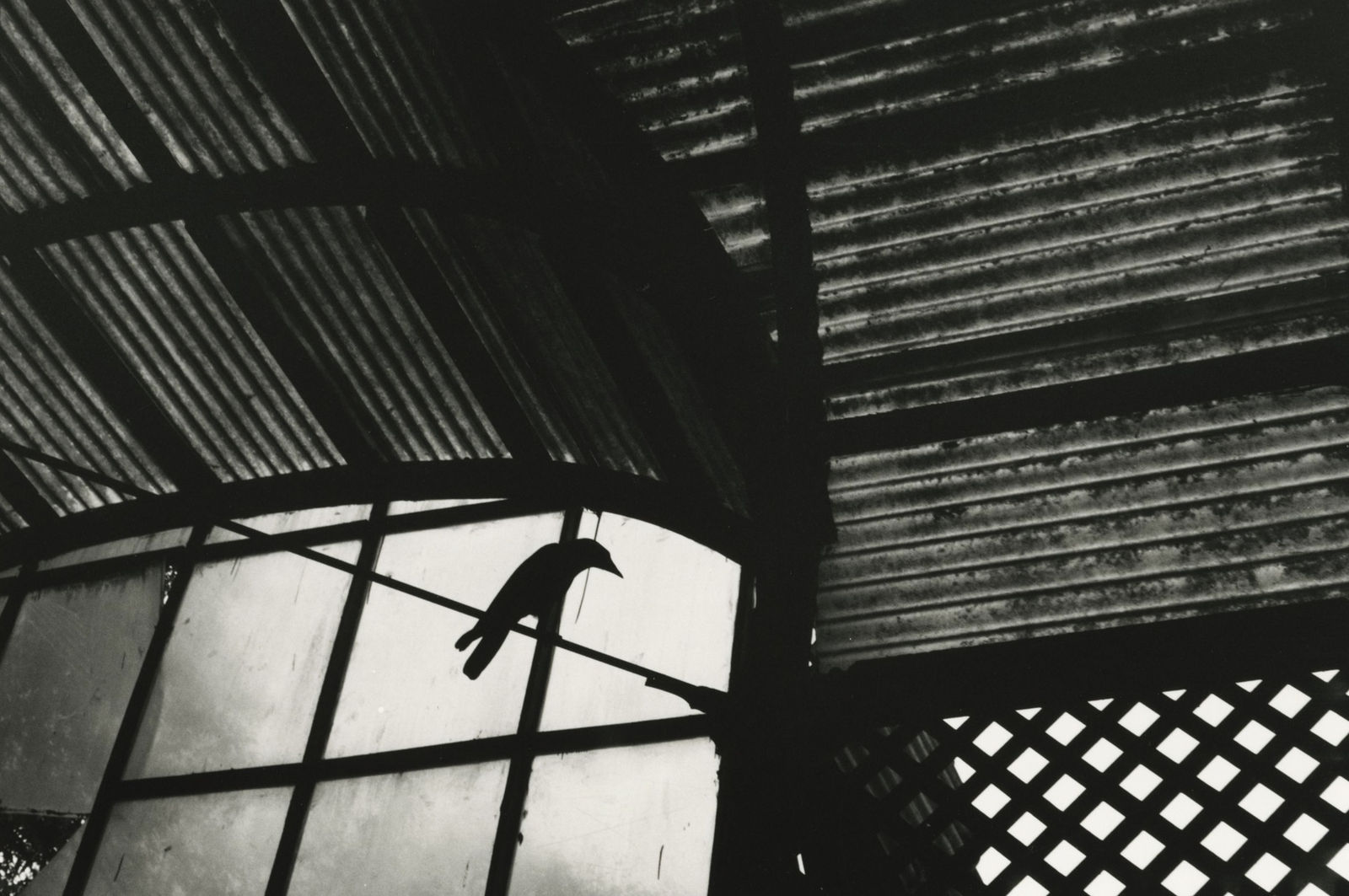 Betsy Karel, Byculla, Inside Victorian Gardens, 2006