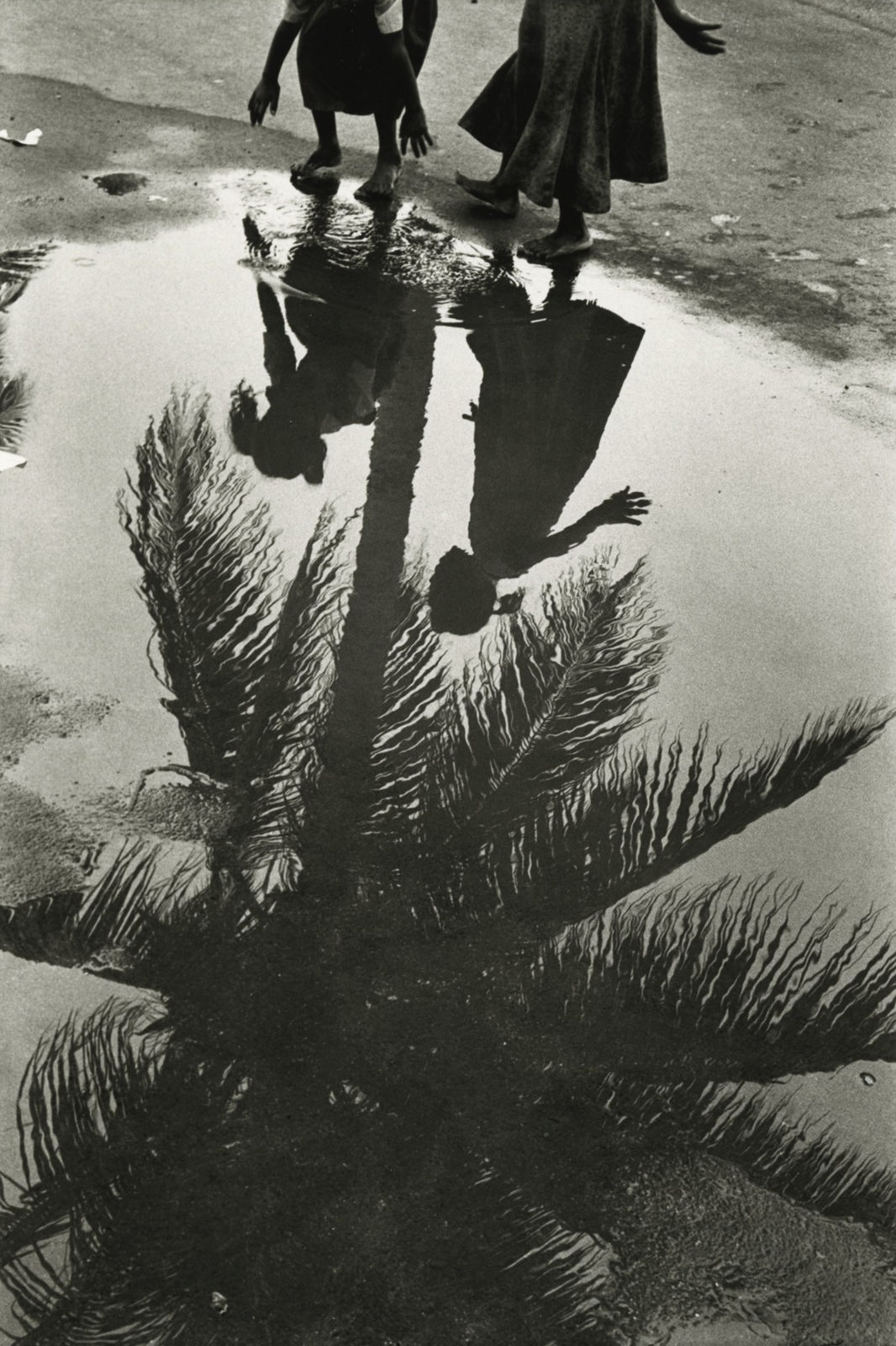 Betsy Karel, Marine Drive, 2001