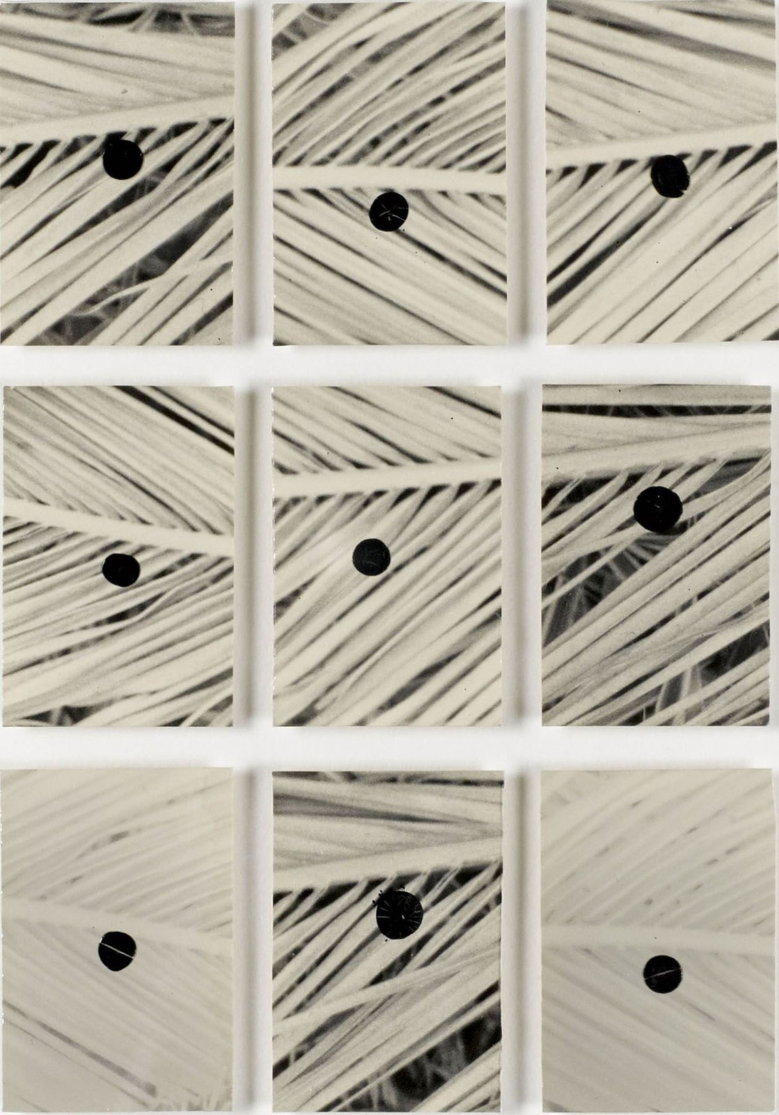 Bruno V. Roels, The Owls Are Not What They Seem, 2017