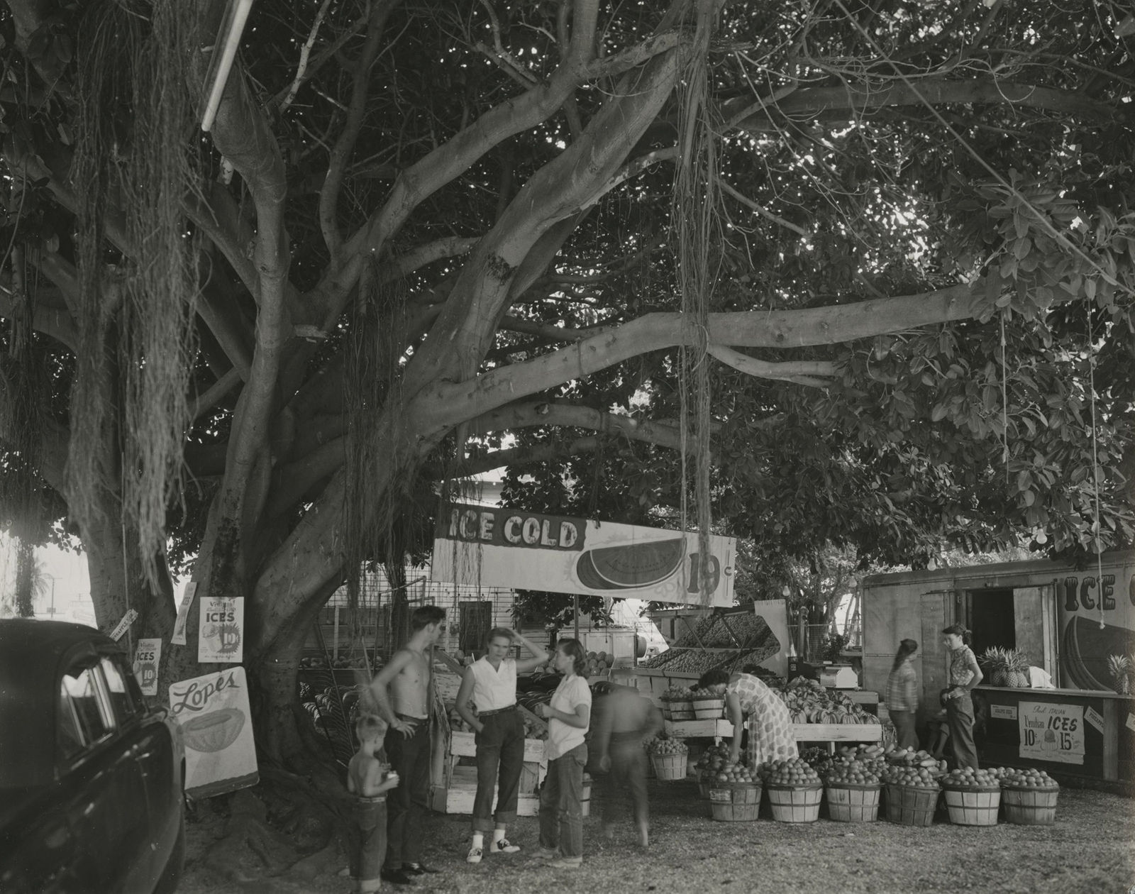 Berenice Abbott, Fruit Market, South Dixie Highway, Miami, Florida, 1954