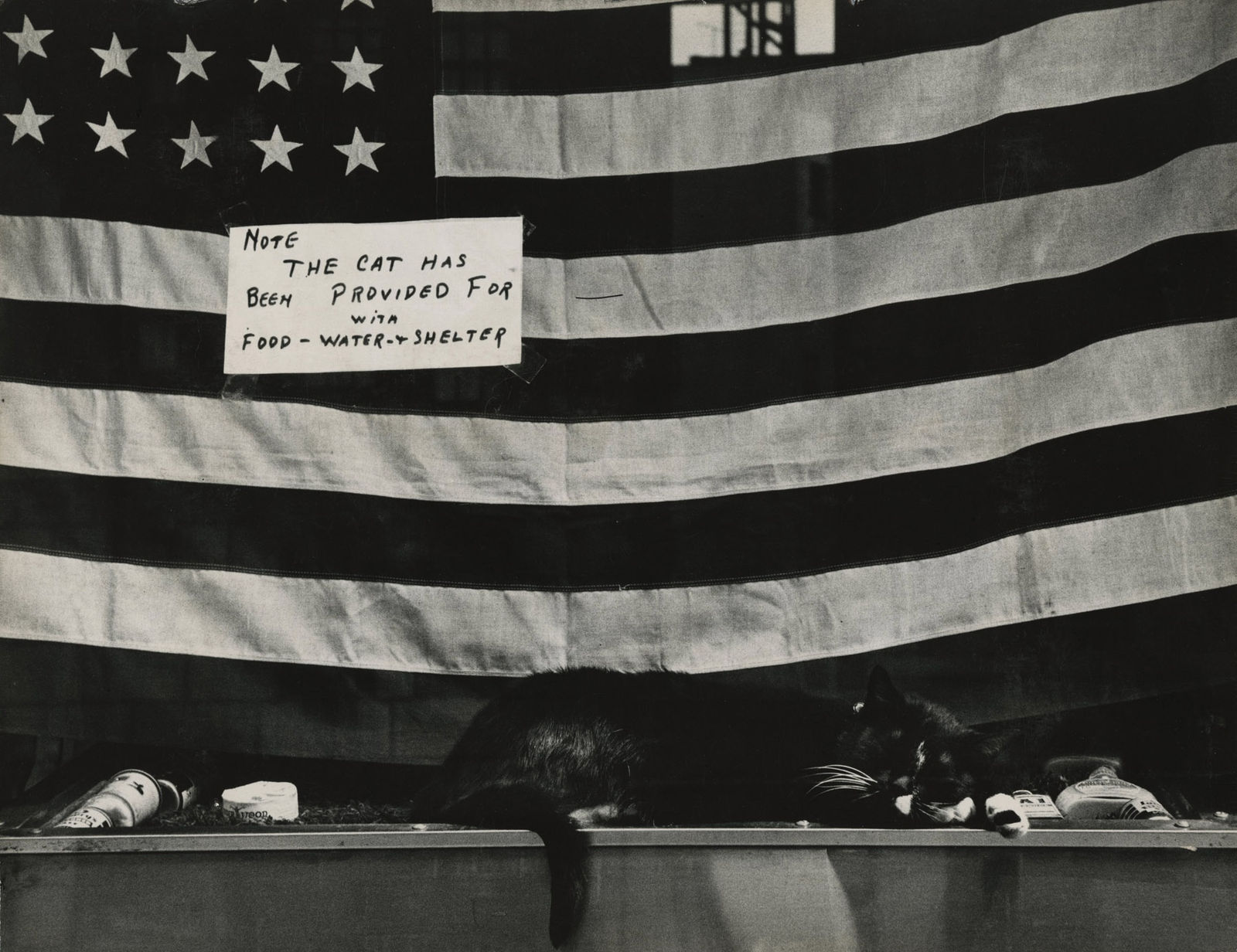 Charles Harbutt, Cat in Window, Madison Ave, NYC, 1959