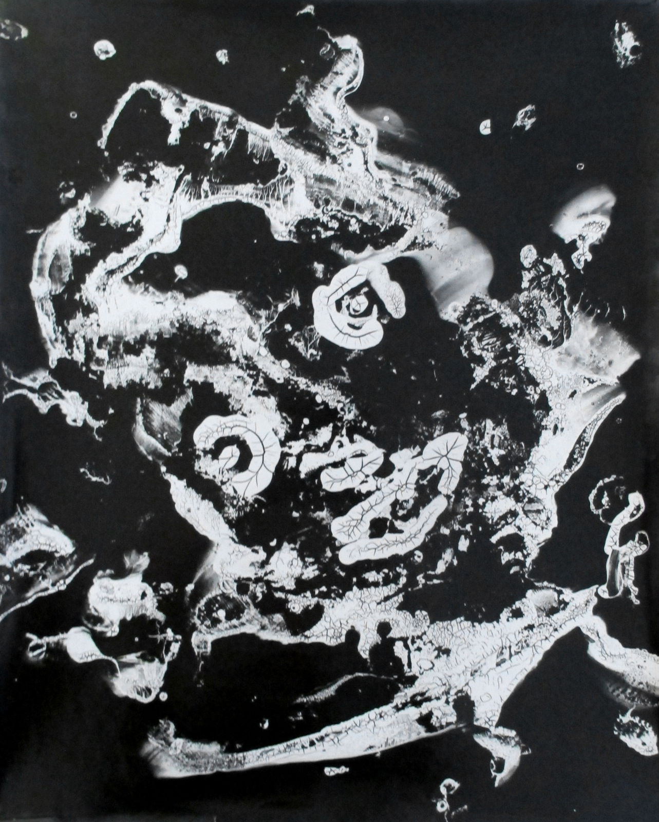 Sameer Makarius, Untitled (from the series 