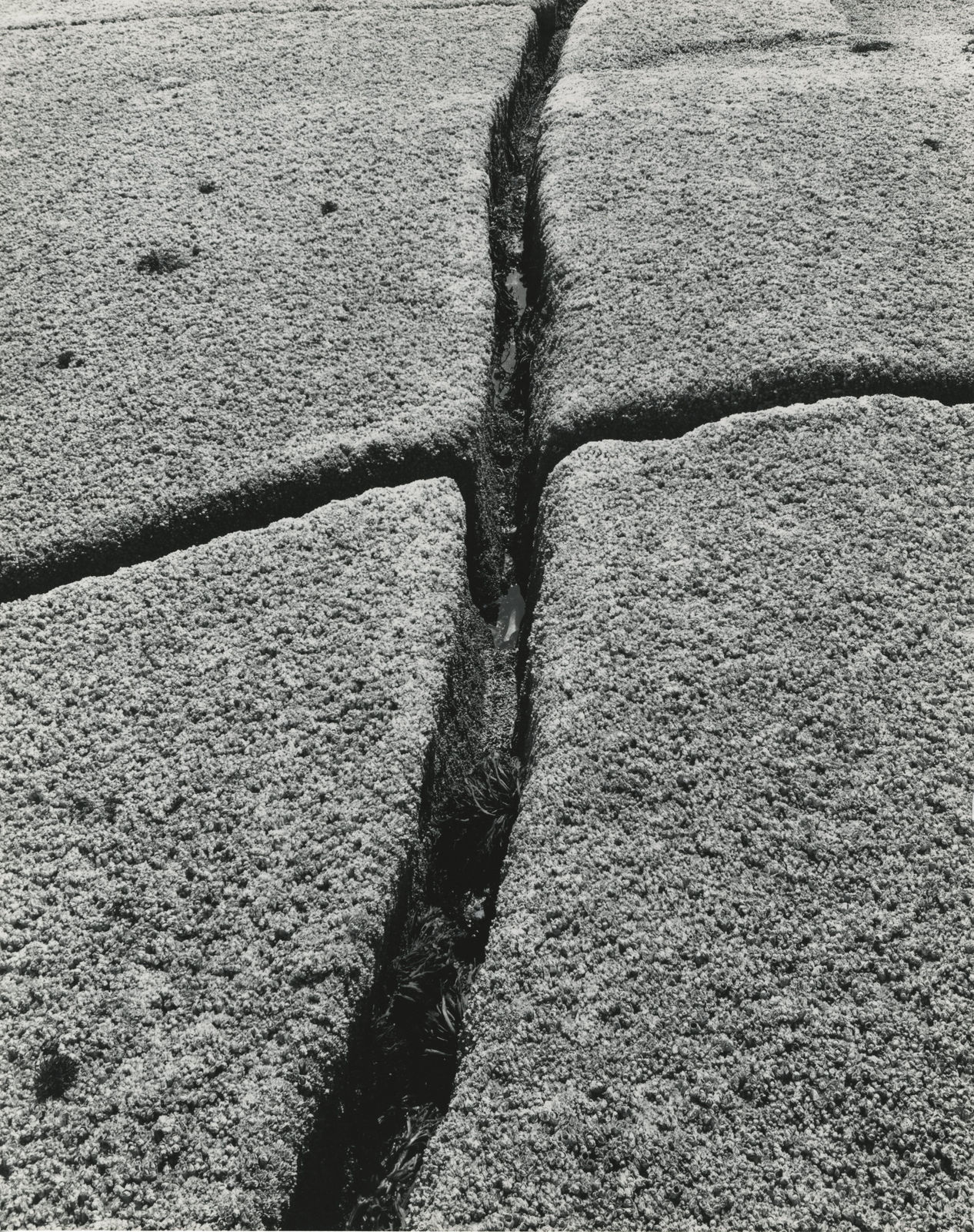 Charles Pratt, Untitled, c.1960