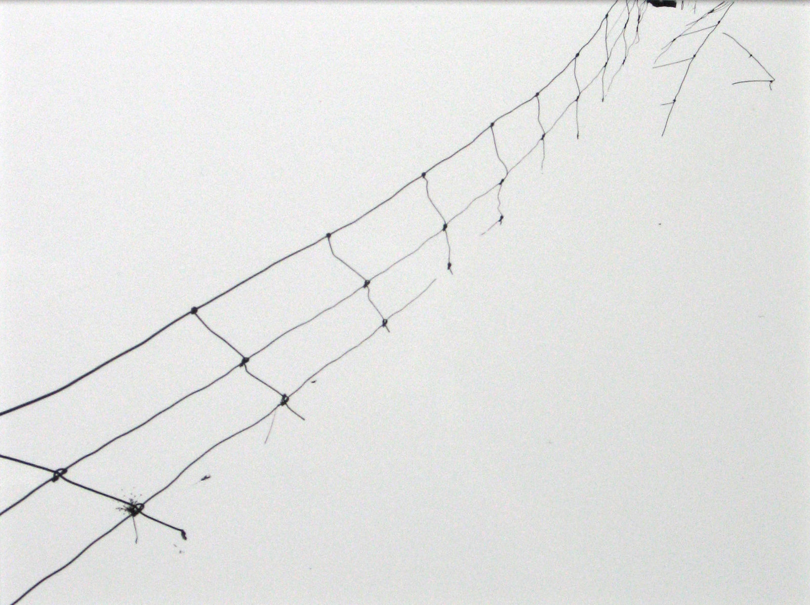 Frank Gohlke, Untitled, 1971-72 3