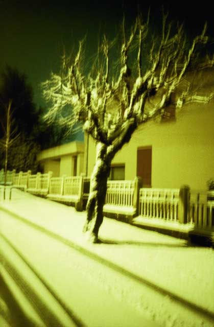 Dolorès Marat, Dolorès Marat, L’arbre qui marche, 1995