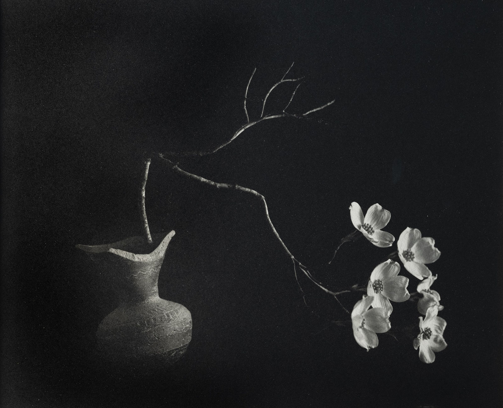 Kenro Izu, No. 27 Hanamizuki, 2021