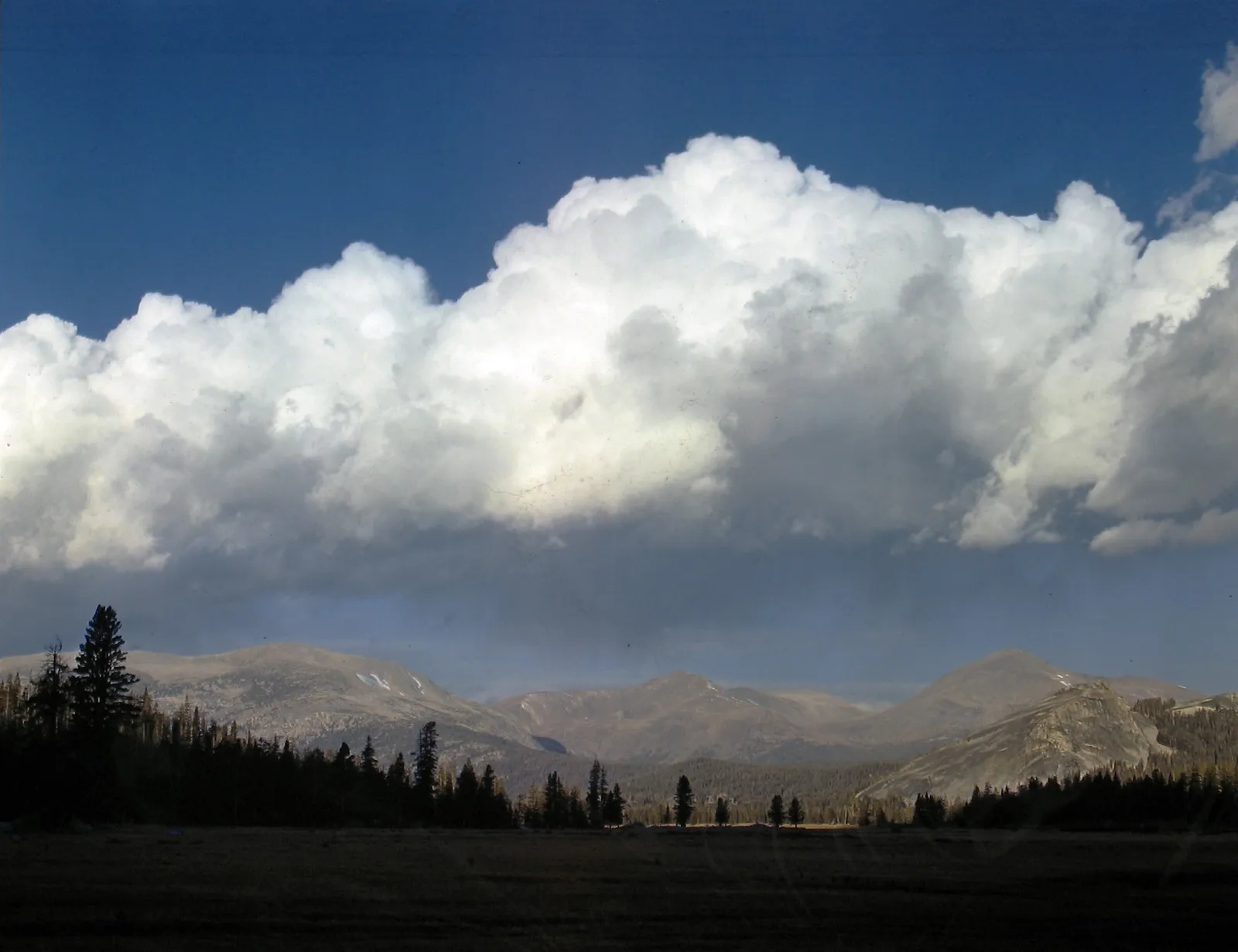 Ansel Adams, Late Afternoon Tuolumne Meadows, Yosemite National Park, date undetermined