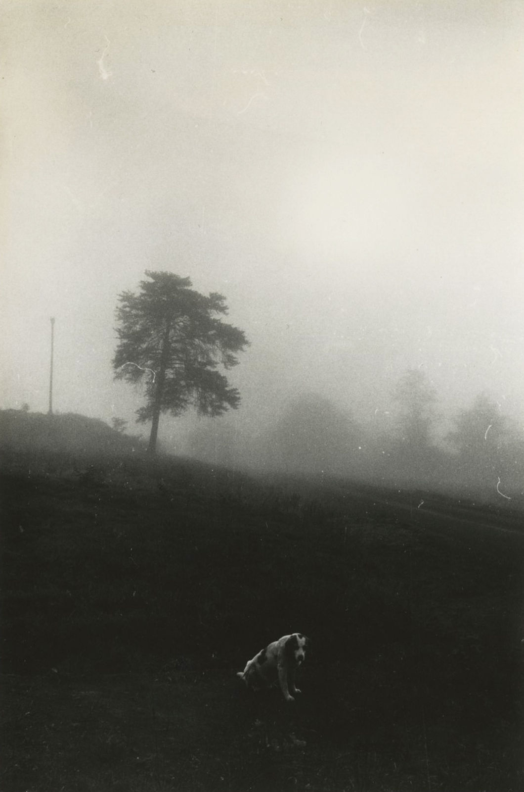 Dave Heath, Miscellaneous I , 1960s