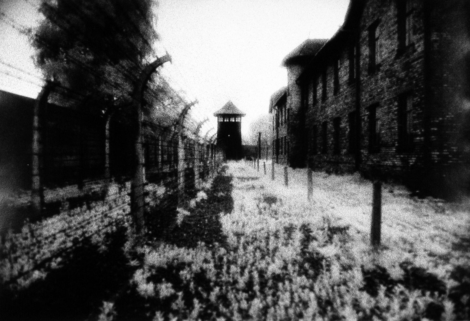 Judy Glickman Lauder, Exterior, Auschwitz Concentration Camp, Poland, 1990