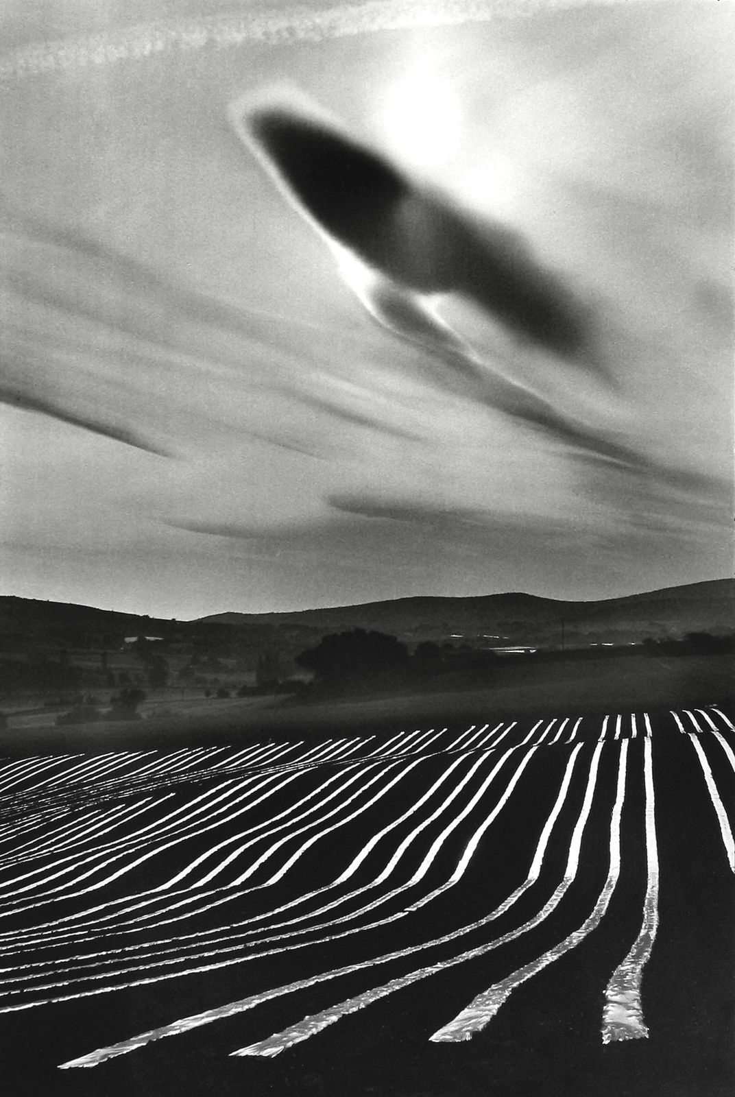 Martine Franck, Melon plantation, Montjustin, Haute-Provence, 1976