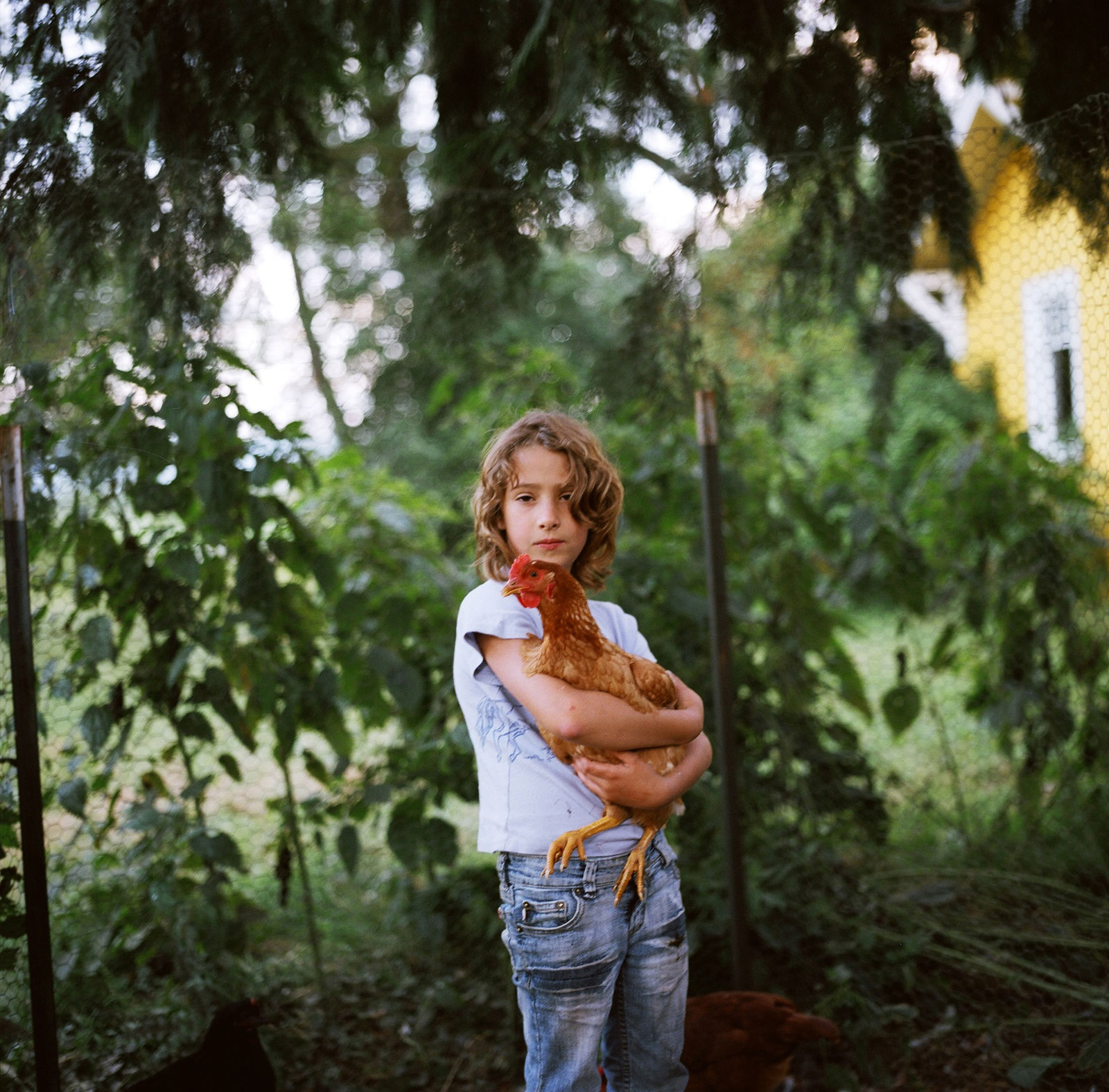 Anna Mia Davidson, Oliva With Chicken, 2008