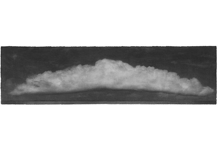 Jungjin Lee, Everglades 17, 2014