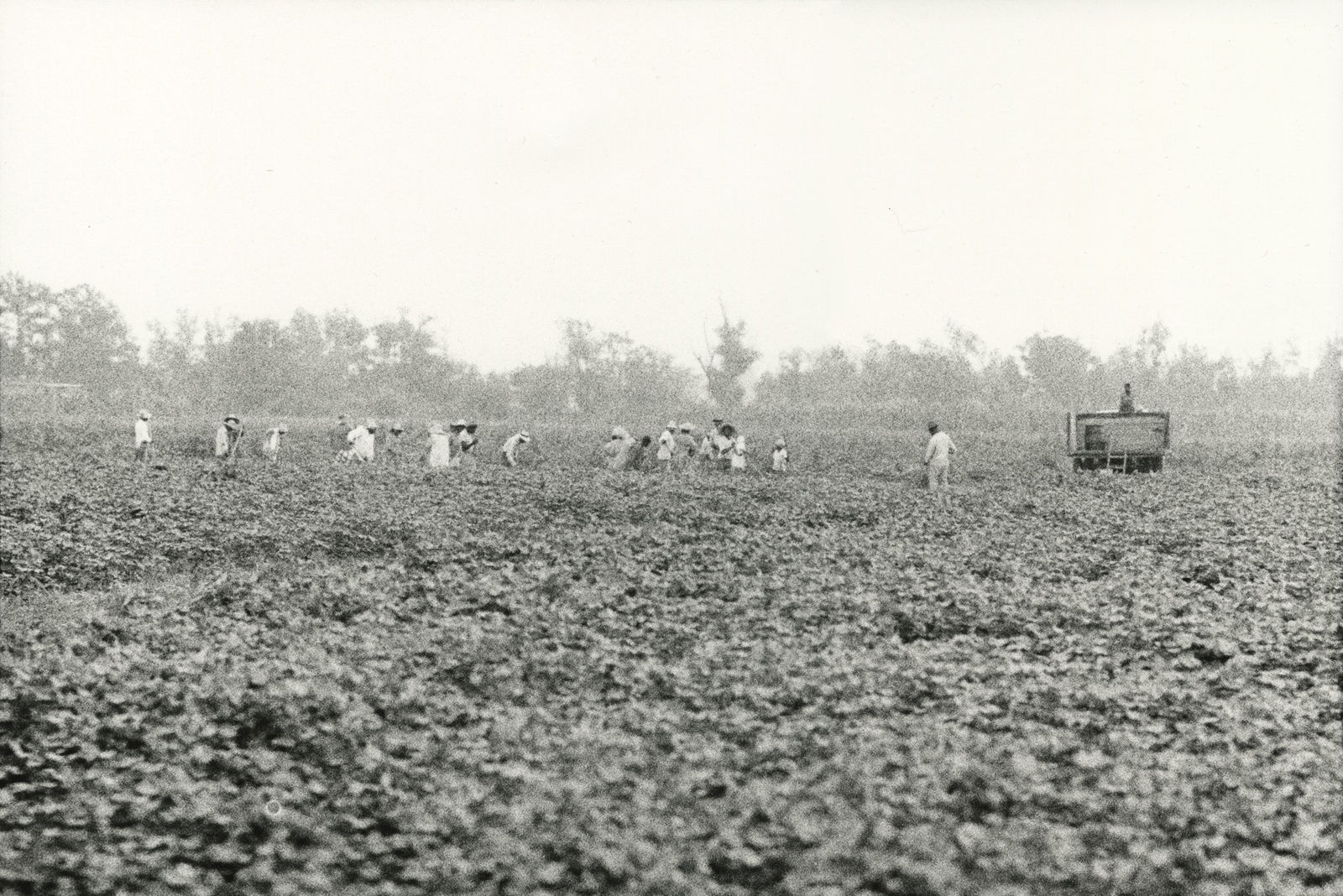 Bruce Davidson, Time of Change, 1962