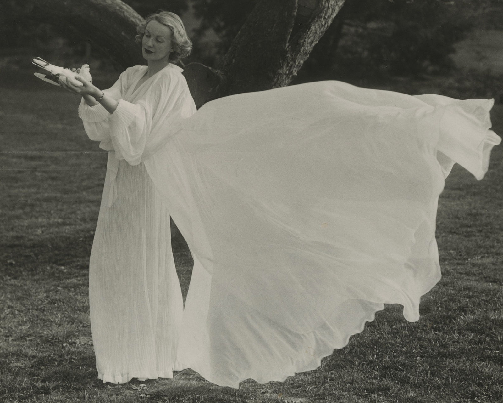 Martin Munkácsi, Peignoir with Dove, 1936