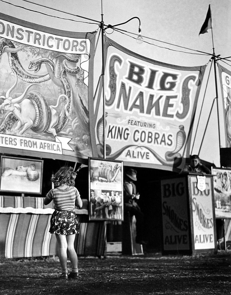 Harold Roth, Big Snakes, World's Fair, 1939