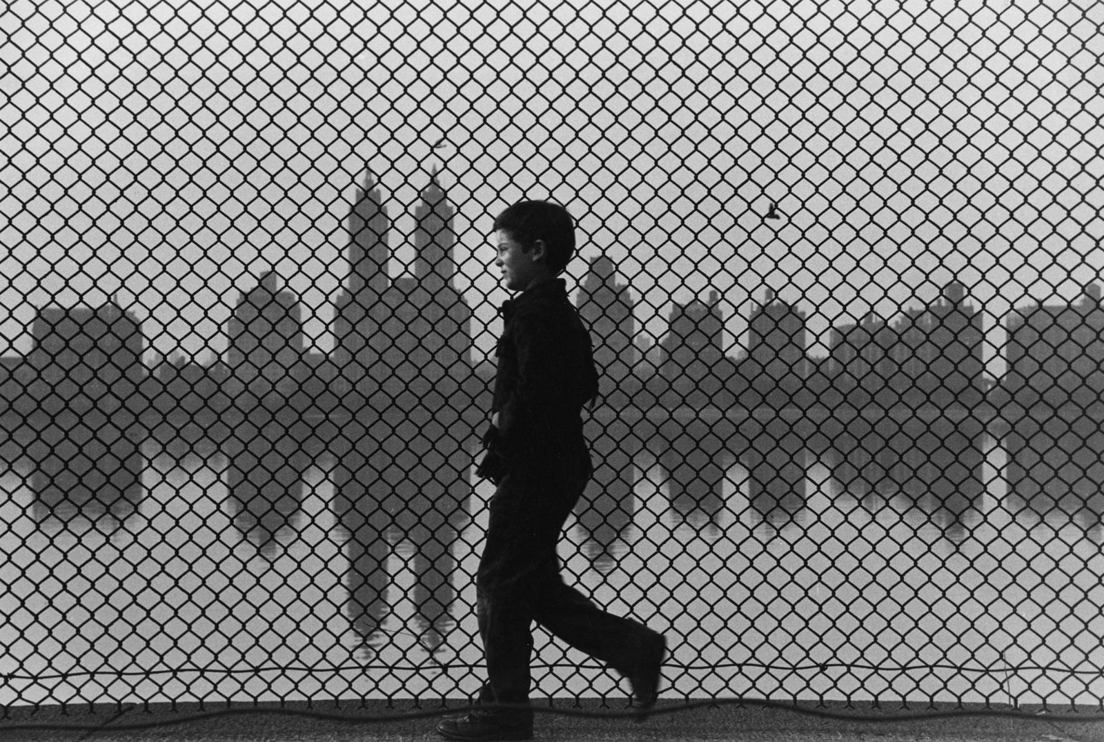 Ruth Orkin, Boy and Fence, Central Park, 1965