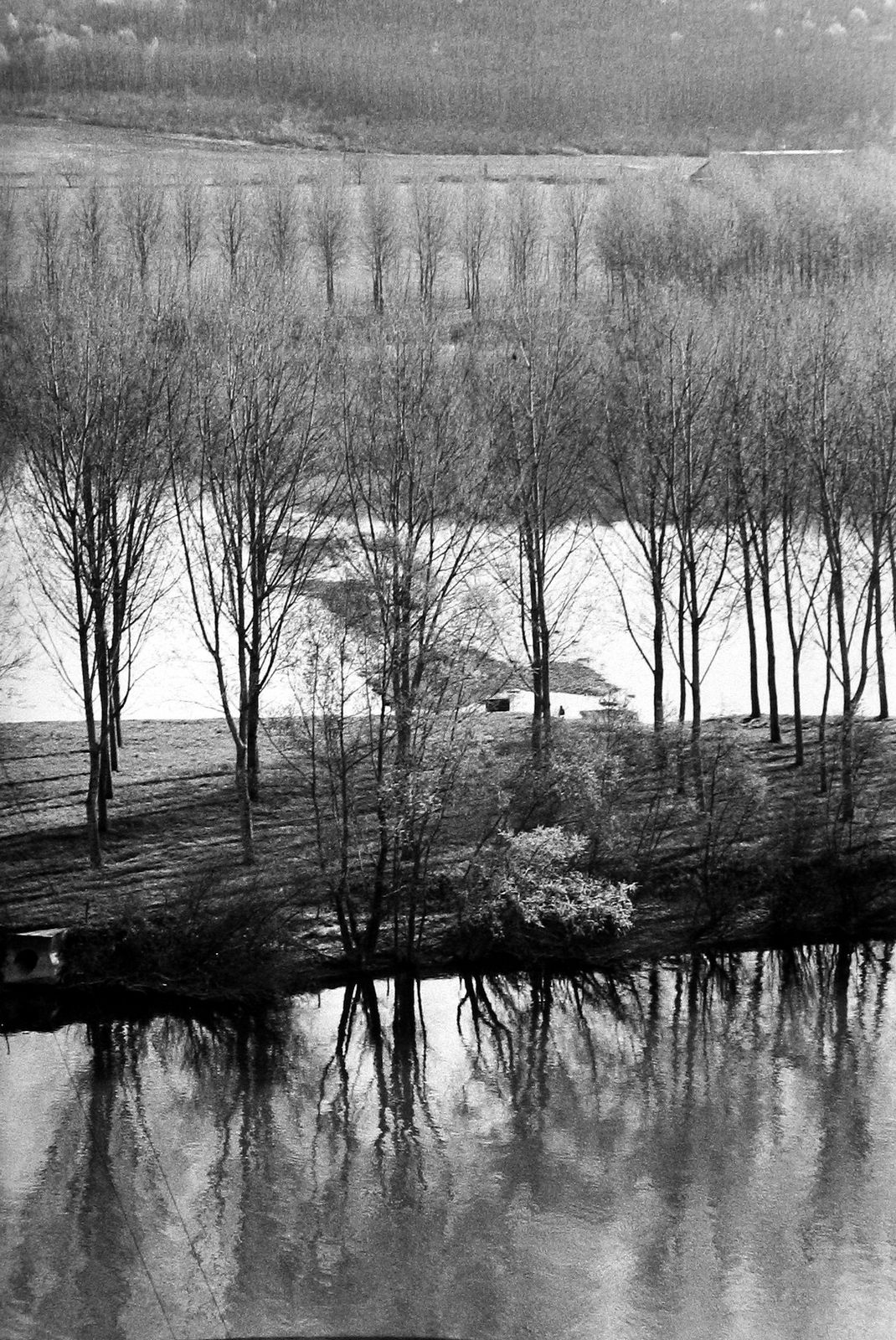 Martine Franck, Landscape, 1960s