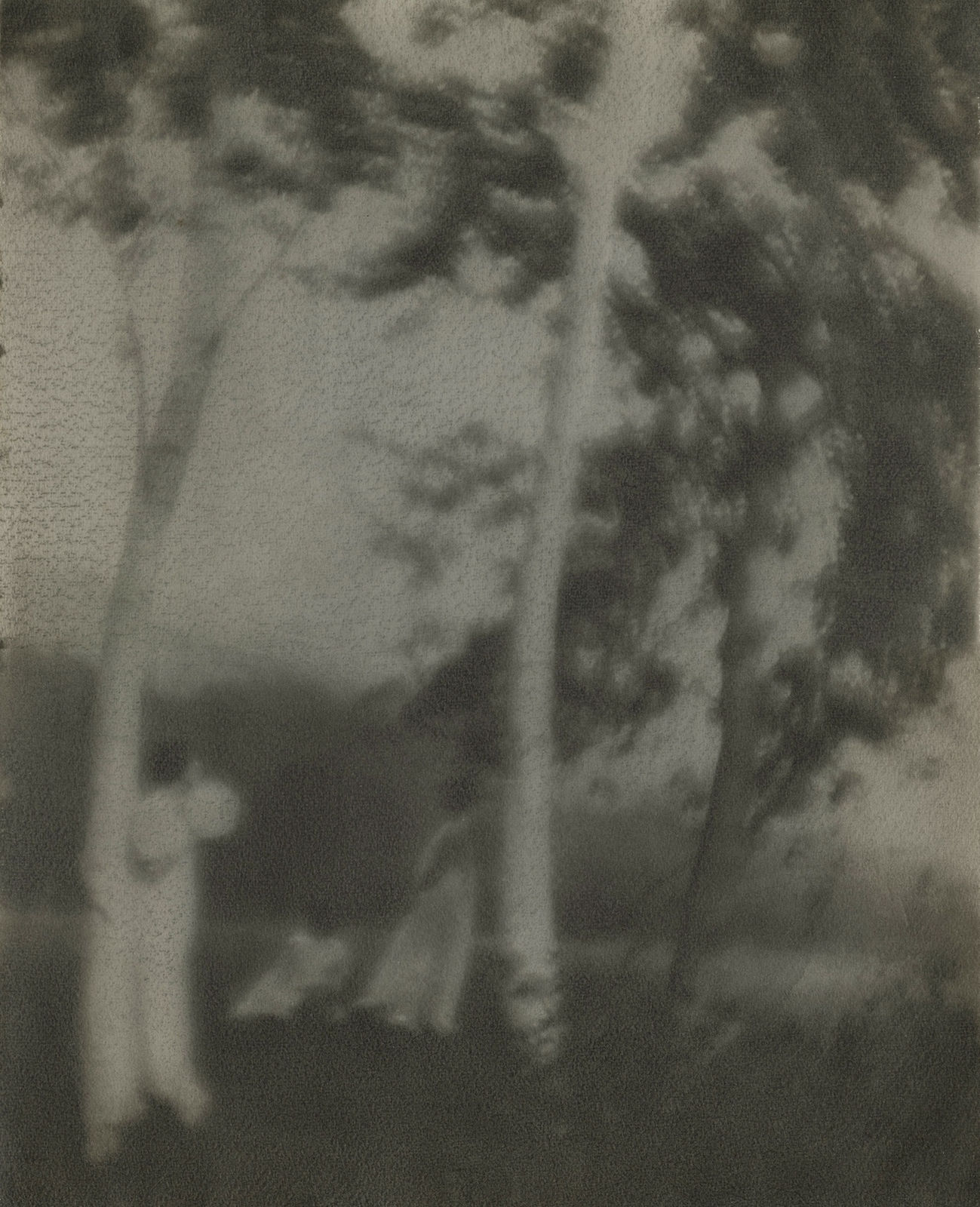 George H. Seeley, White Trees, c.1910