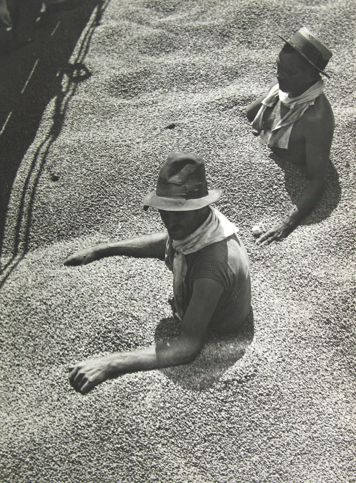 Martin Munkácsi, Kaffeeverwertung in Brasilien, 1931