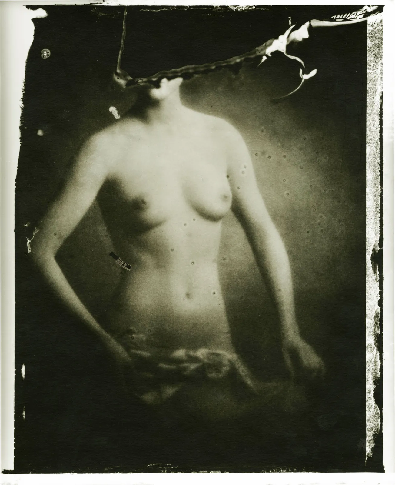 Sarah Moon, Nue, 1977