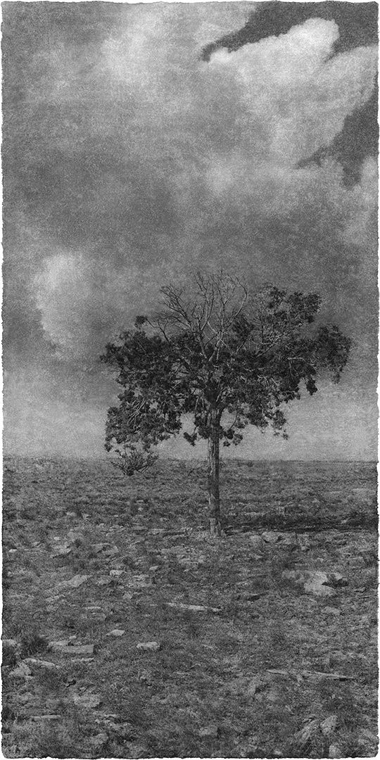 Jungjin Lee, Opening #17, 2016