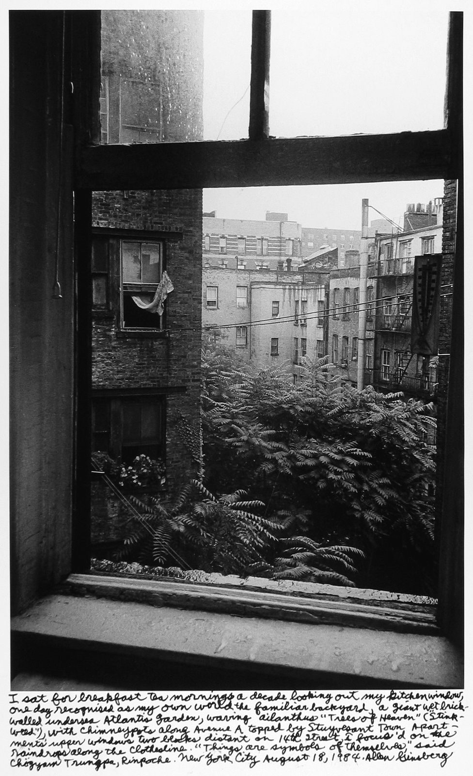 Allen Ginsberg, View out my kitchen window, August 18, 1984