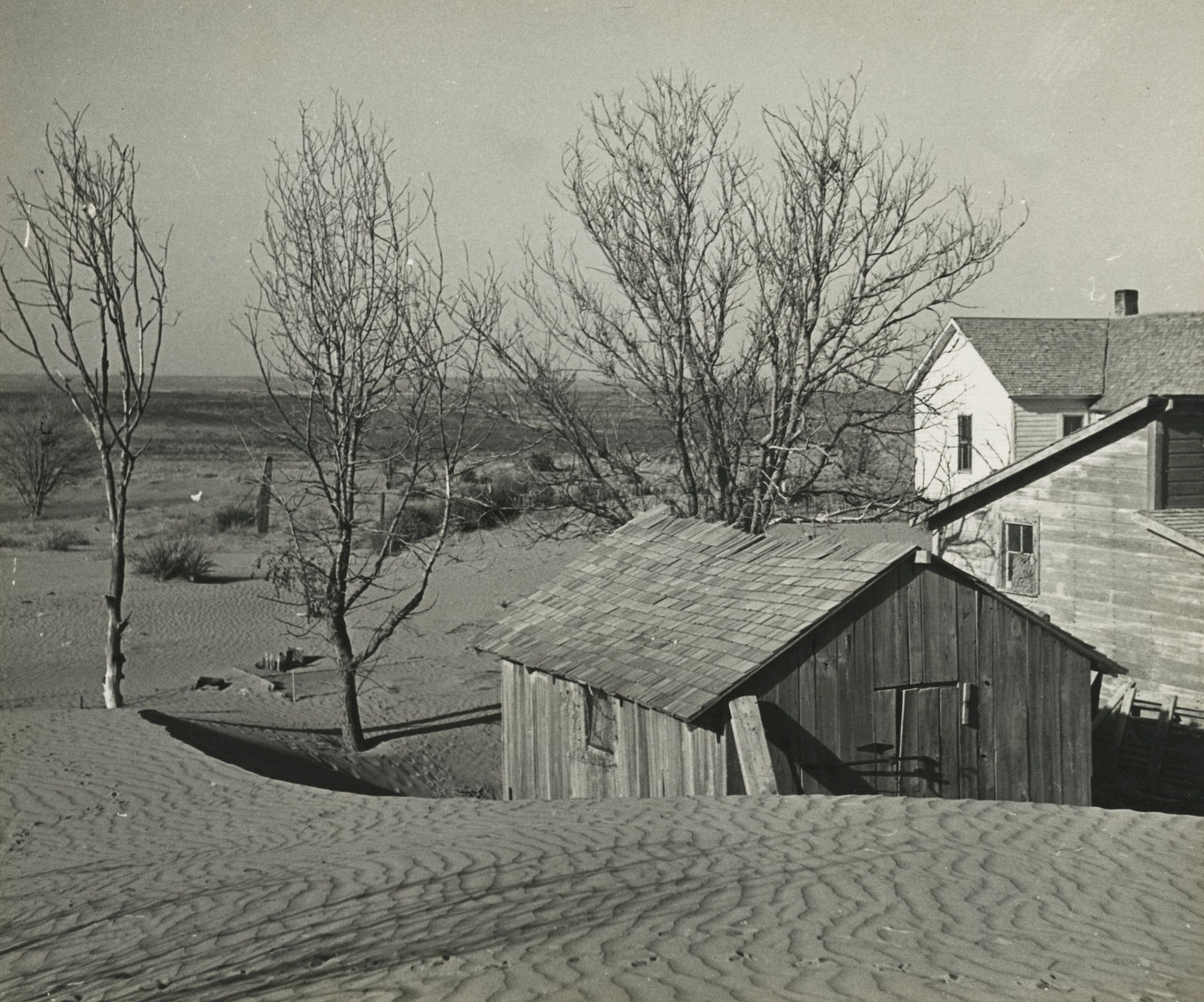 Arthur Rothstein, Dust Storm Damage, 1936
