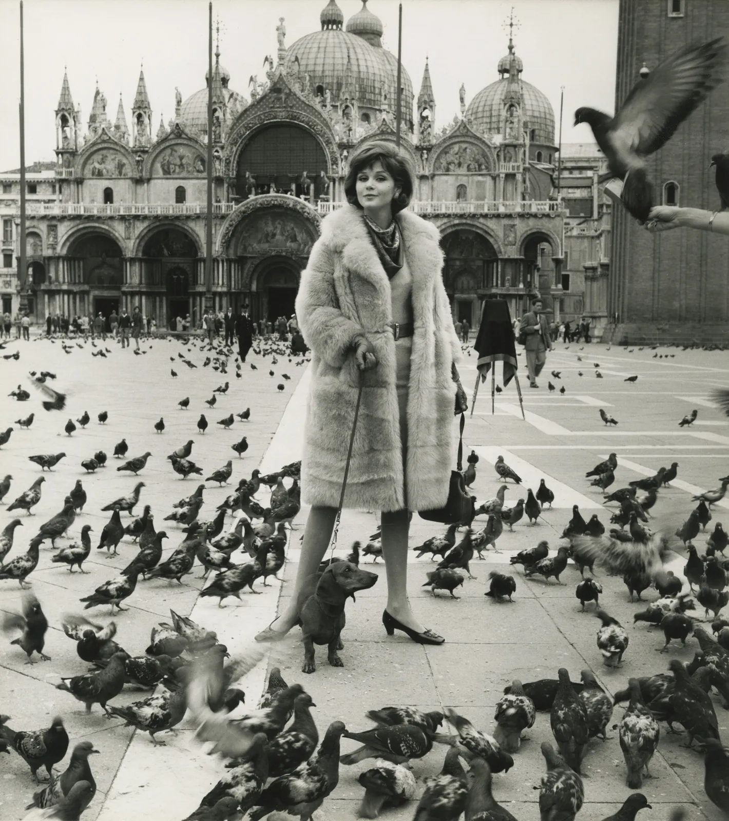 Frances McLaughlin-Gill, Piazza San Marco, Venice, c.1962
