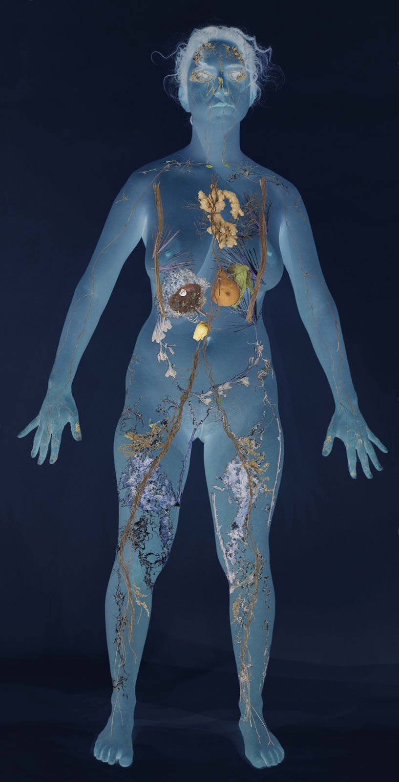 Naomi Zahler, Full Body Scan, 2018