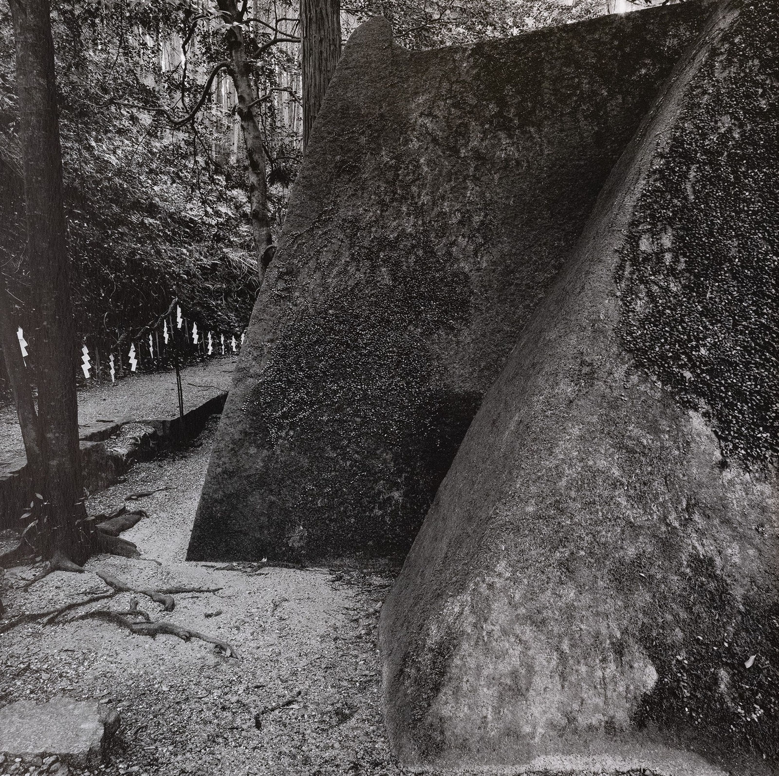 Kenro Izu, No. 23 Amano Iwadate , 2023