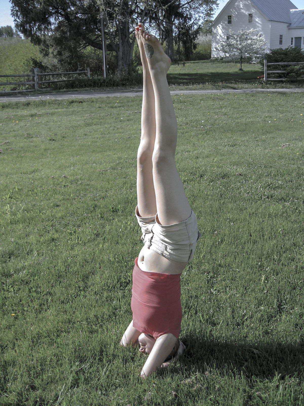 Willis Hartshorn, Head-stand, 2007