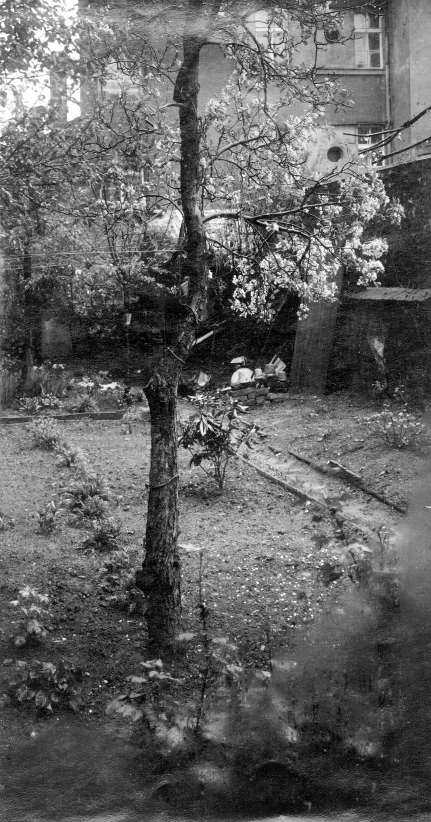 Josef Sudek, View from the Window of My Studio, 1940-54