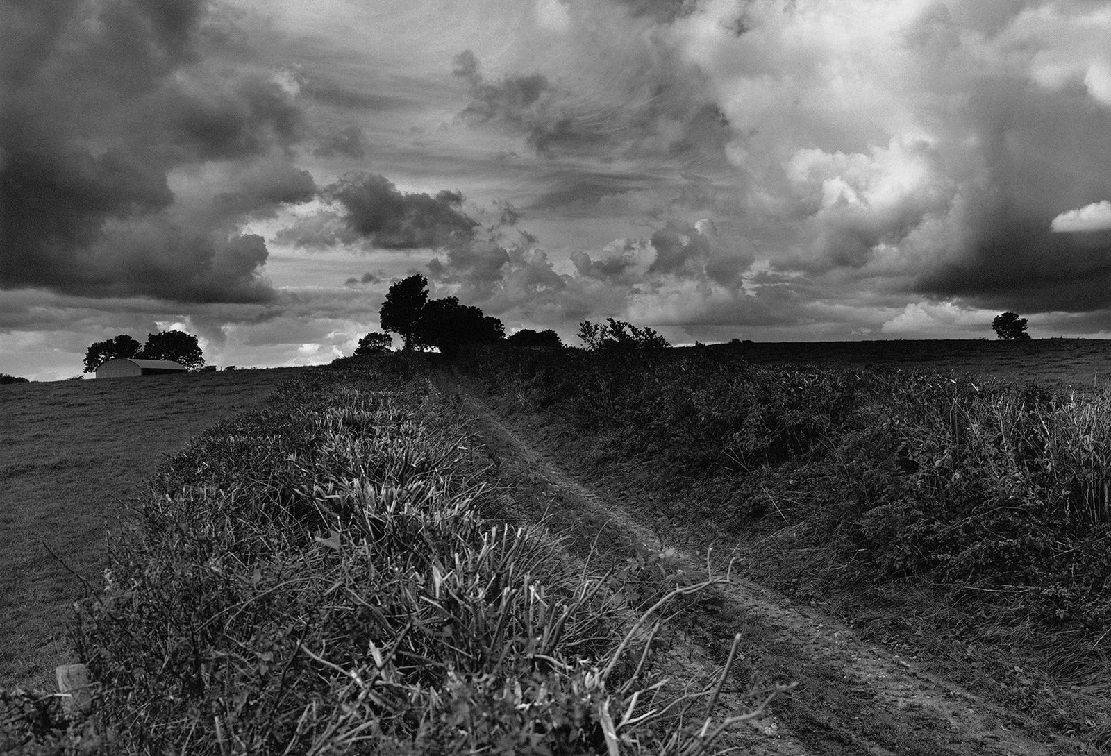 Don McCullin, A Bridle Path in my Village, Somerset, early 1990s