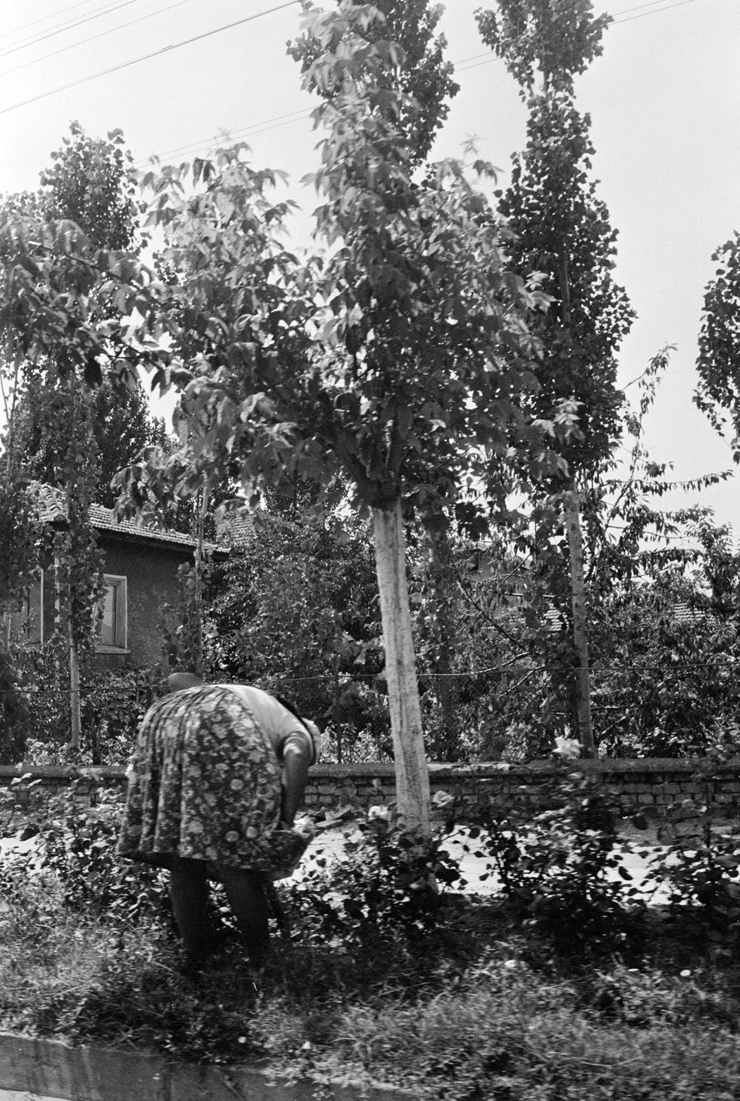 Joel Meyerowitz, Bulgaria, 1967