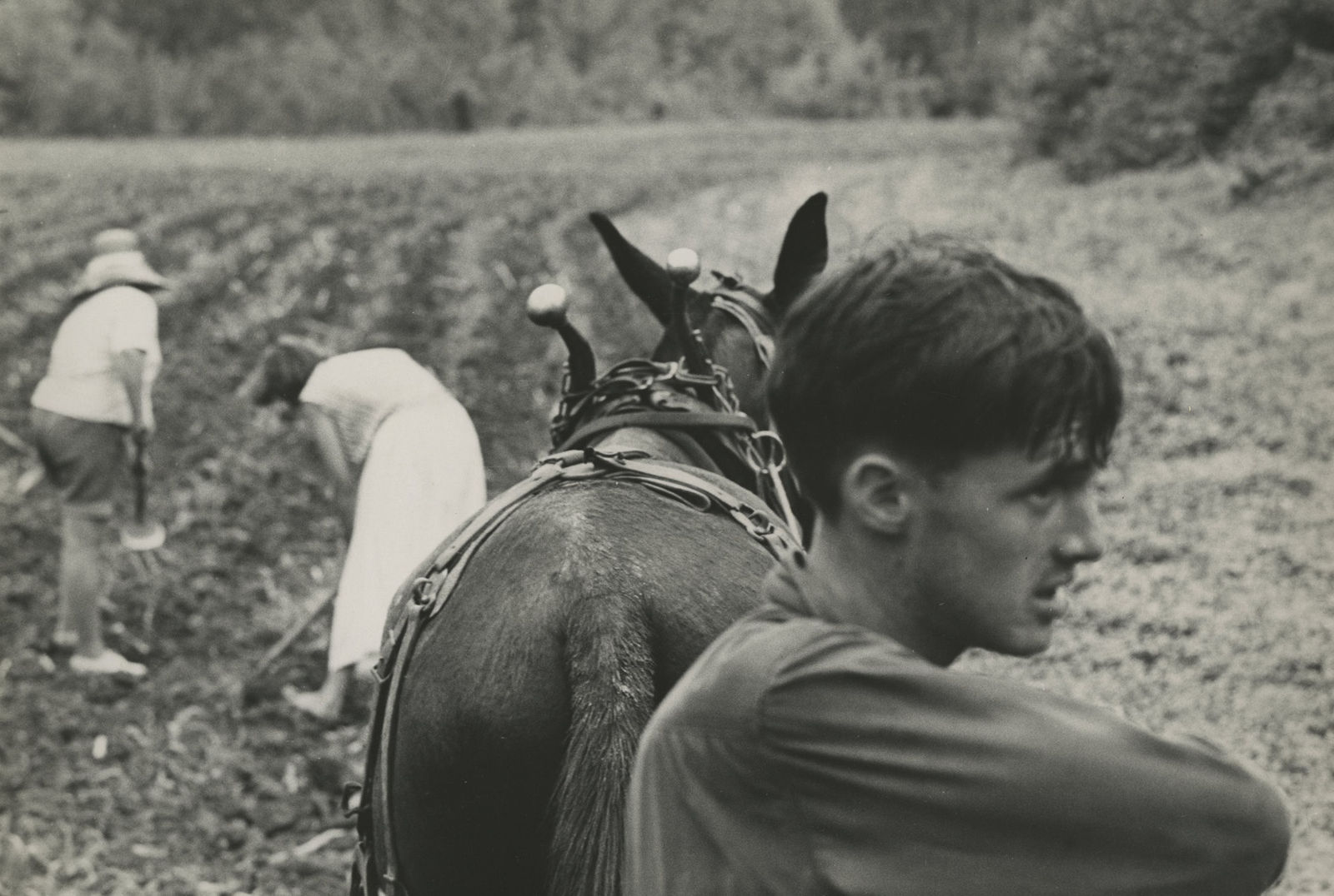 John Cohen, Family Farming, Perry County, KY, 1959