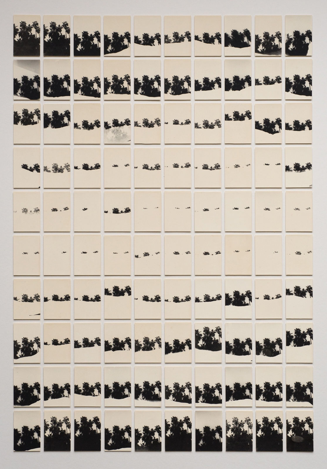 Bruno V. Roels, A Palm Tree is a Palm Tree is a Palm Tree ( Dreaming), 2018