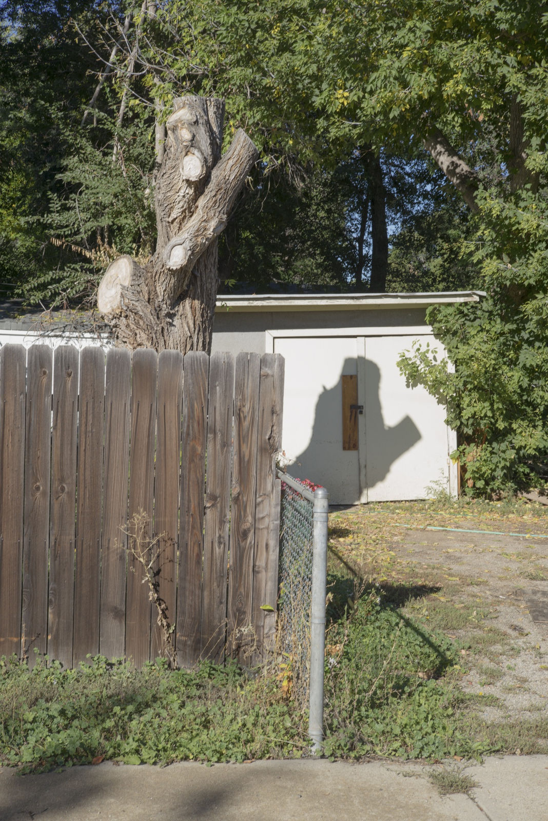 Willis Hartshorn, Thumb/Shadow, 2014