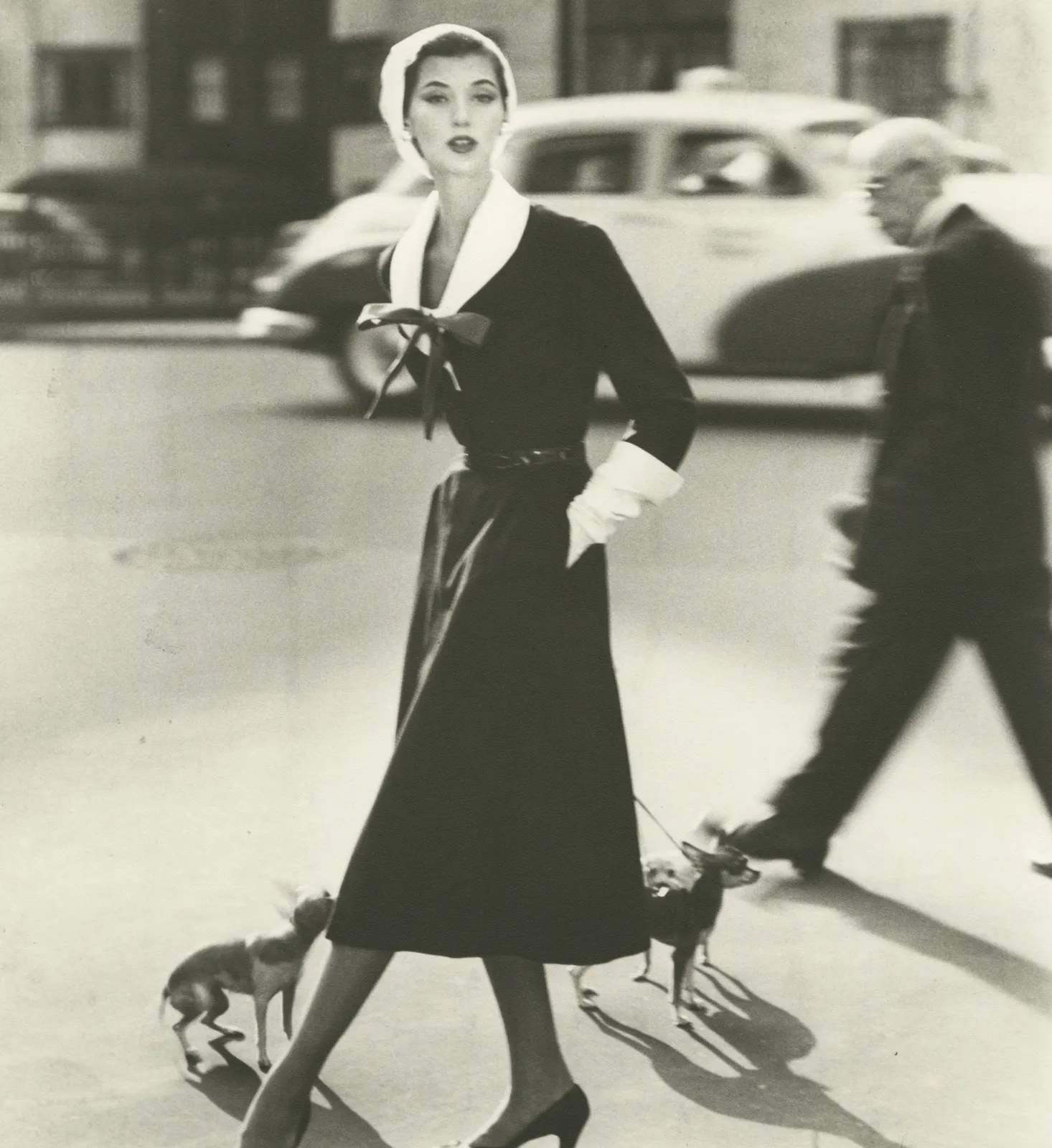 Norman Parkinson, Barbara Mullen with Dogs for Vogue, 1952