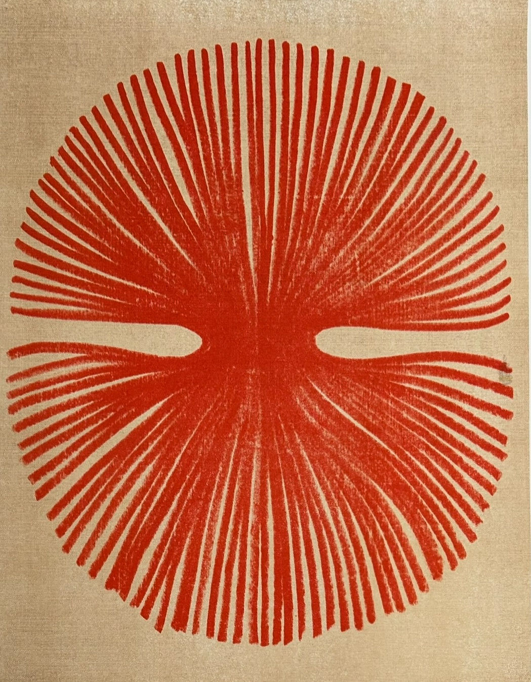 Najia Mehadji, Vegetal , 2024