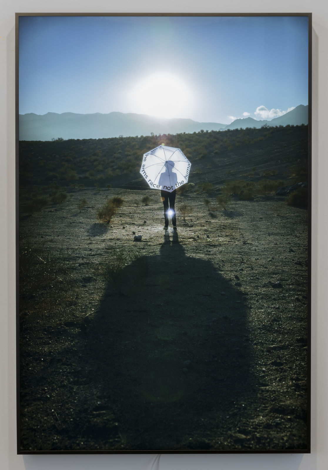 Mary Kelly, End the arms race not the human race, 2019