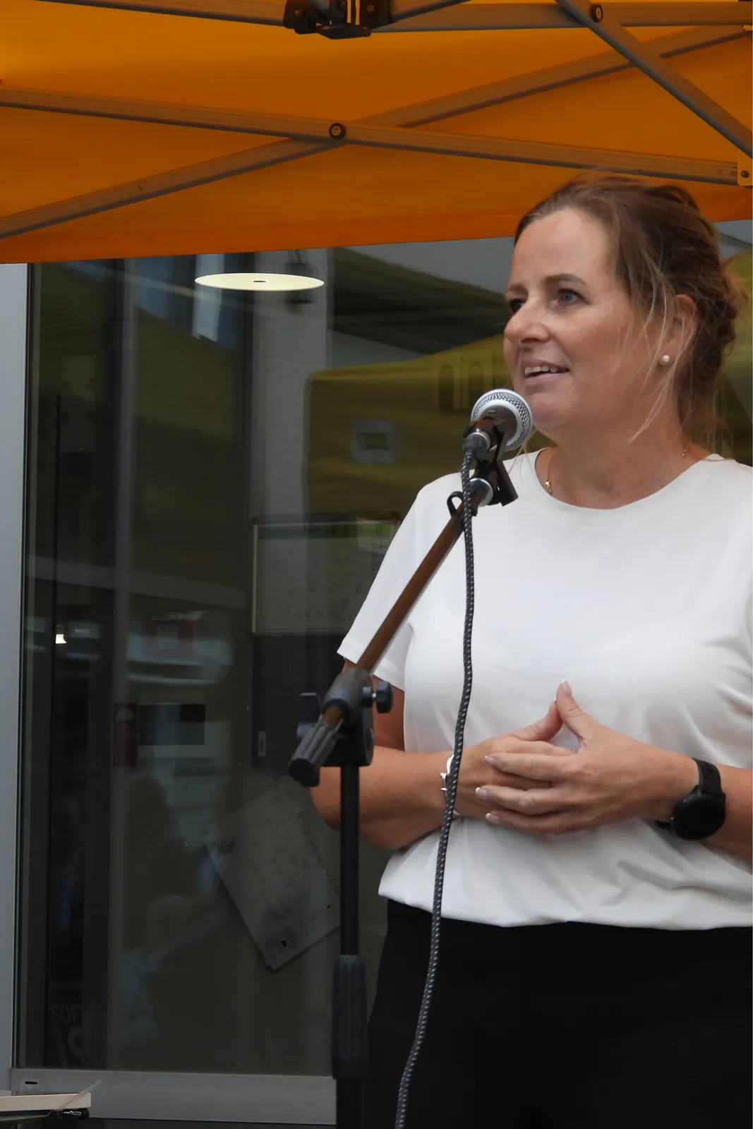 Anita North, Byråd for kultur og næring