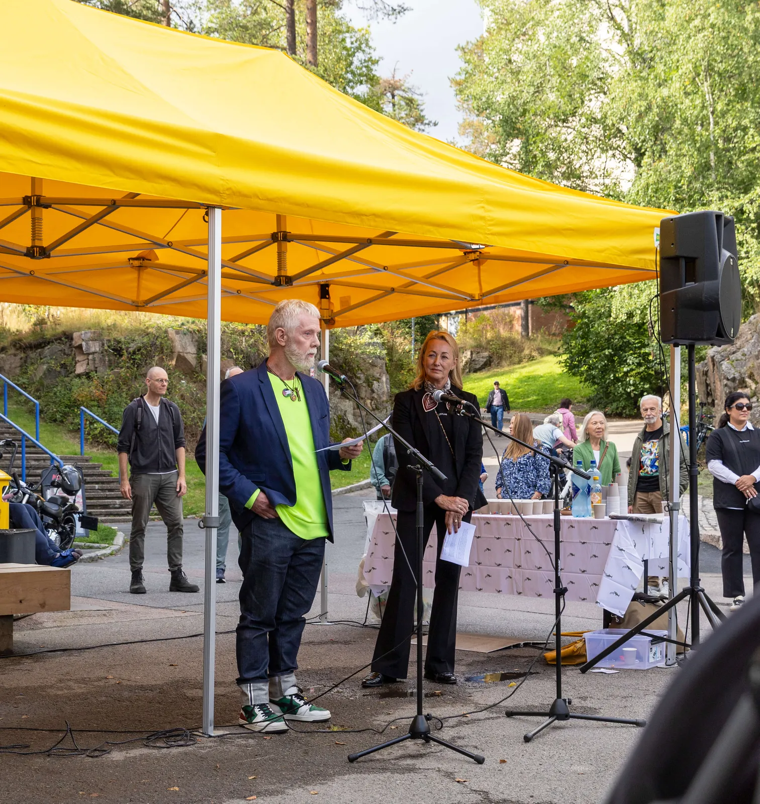 Lars Sture, Kunstnerforbundet og Helene Gulaker Hansen, Ferd Art Programme