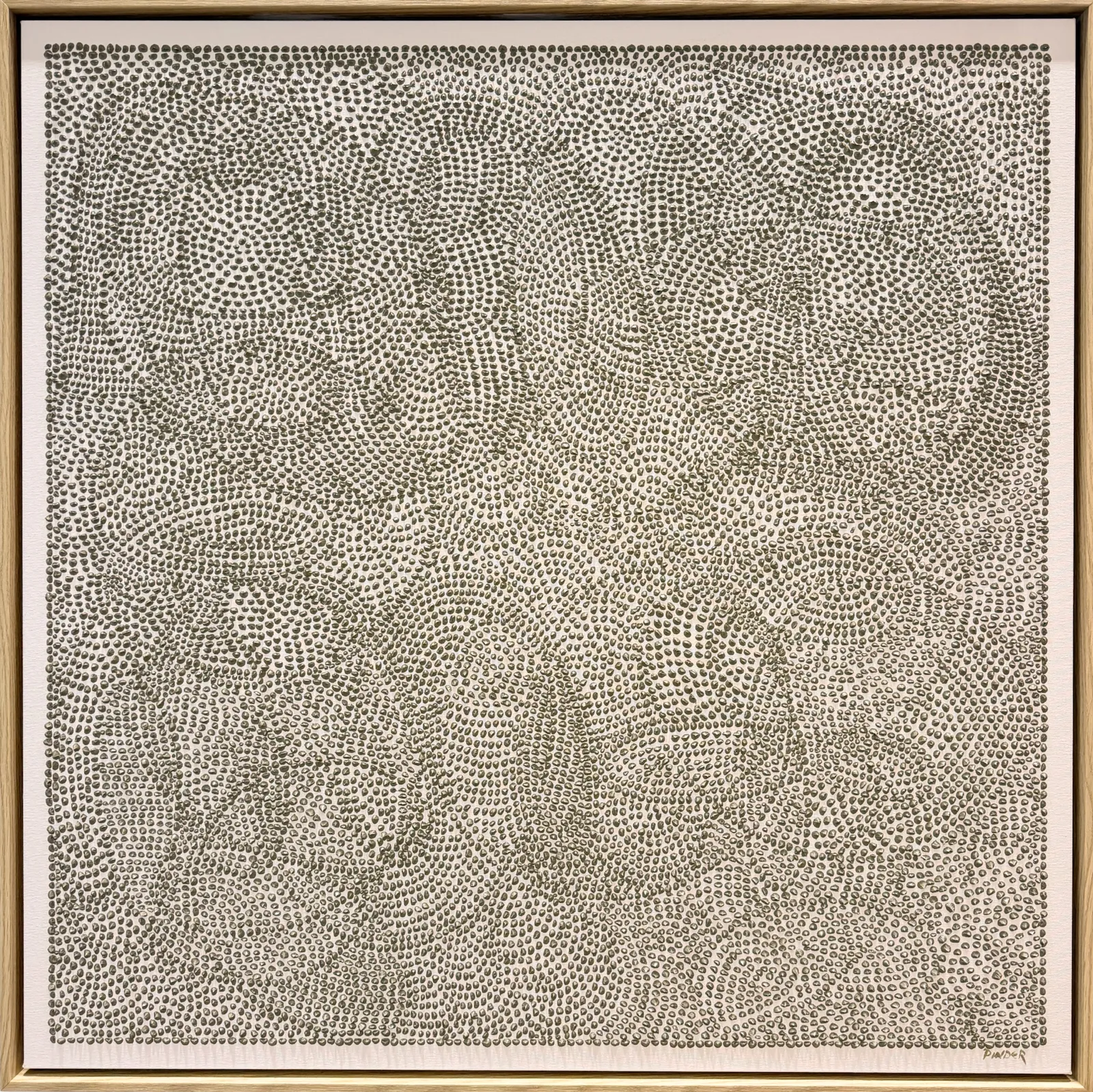 Jennifer Pinder, Australian Green Grey Spike, Oil on Canvas