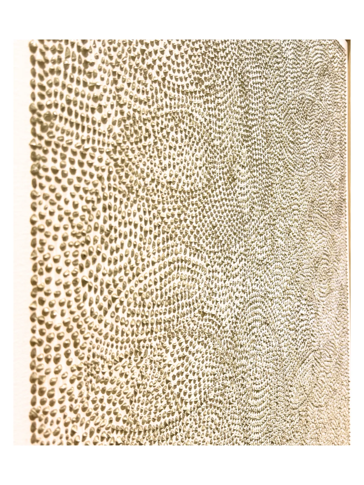 Jennifer Pinder, Australian Green Grey Spike