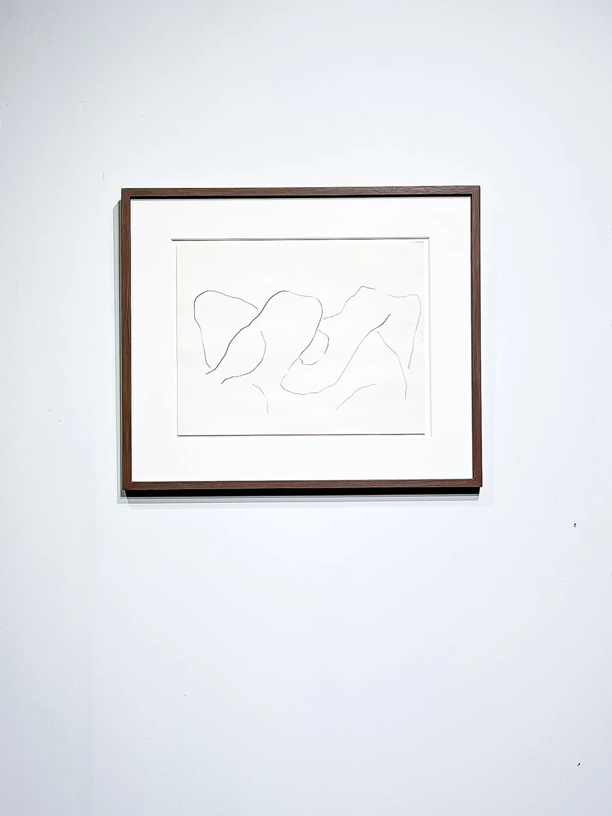 Harry Bertoia, Untitled (bushes), ca. 1960