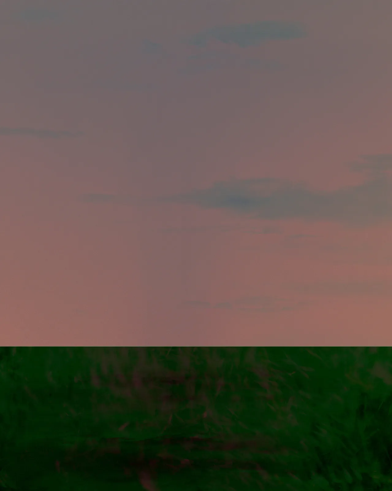 Andy Jon Morris, Colour Fields No. 5, 2024