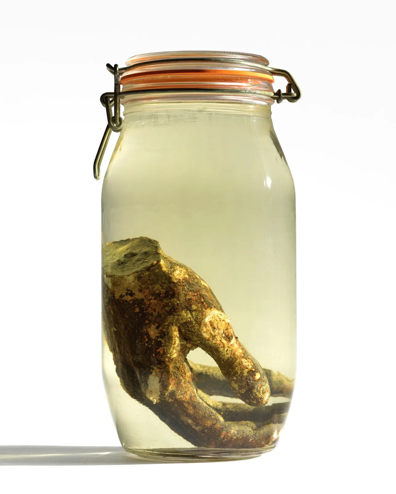 Kiki Smith, Hand in Jar, 1983
