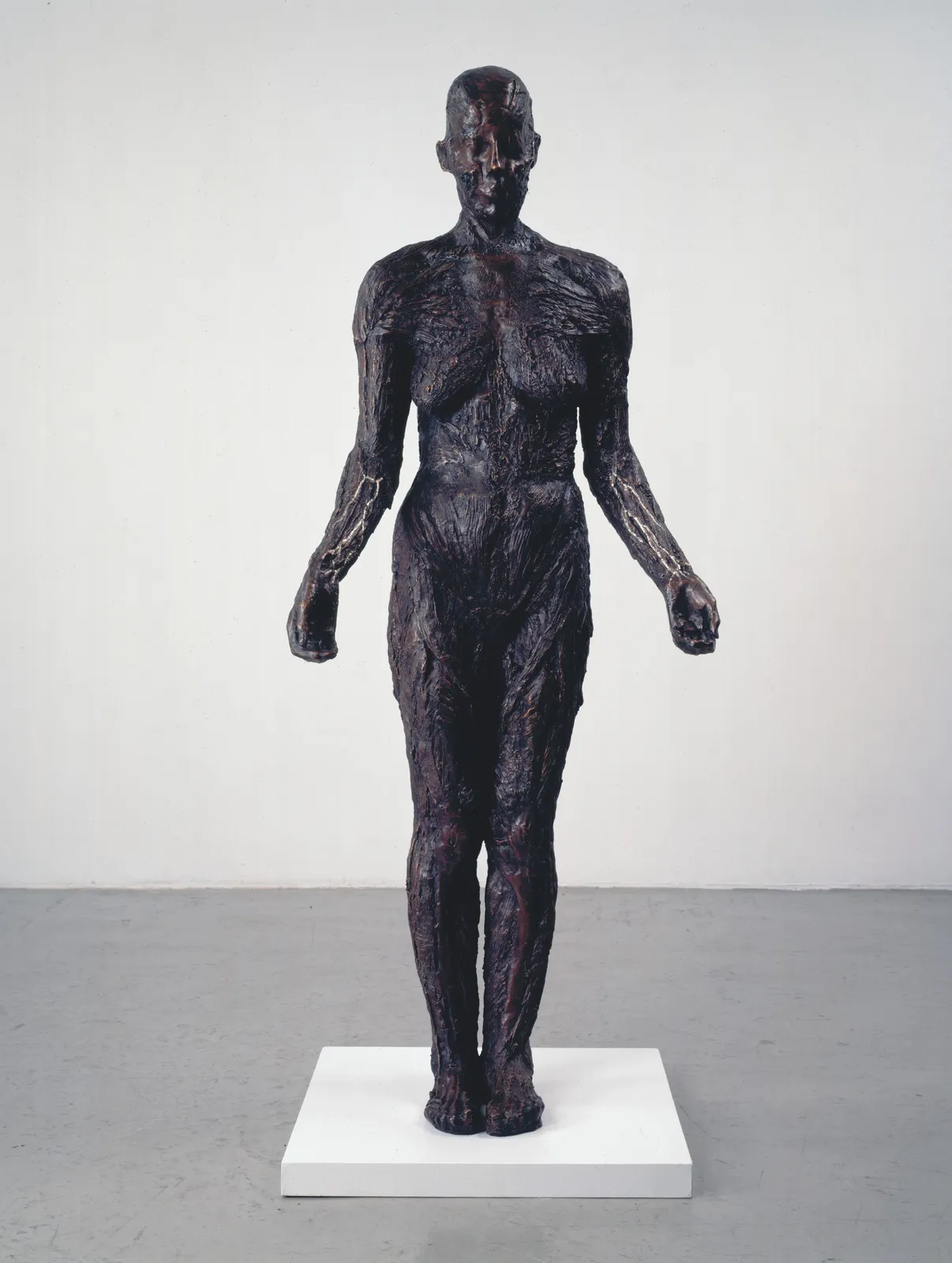 Kiki Smith, Virgin Mary, 1992