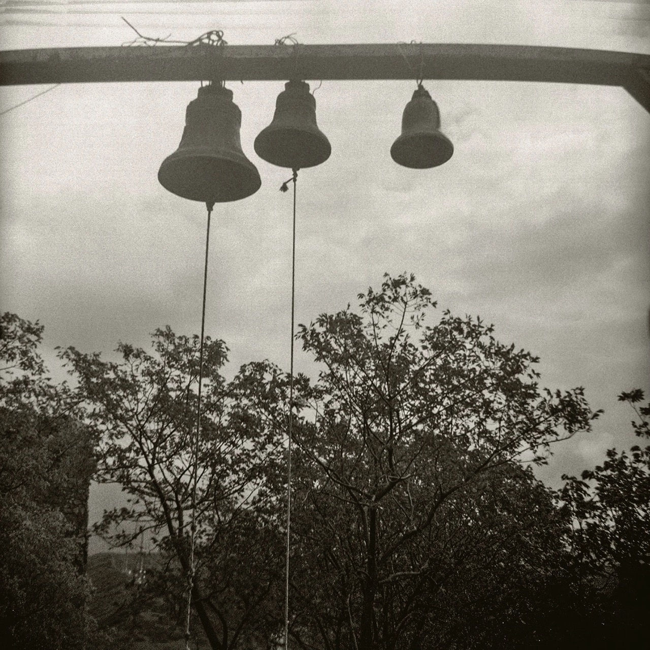 Øyvind Hjelmen, Beeing Here, 2024