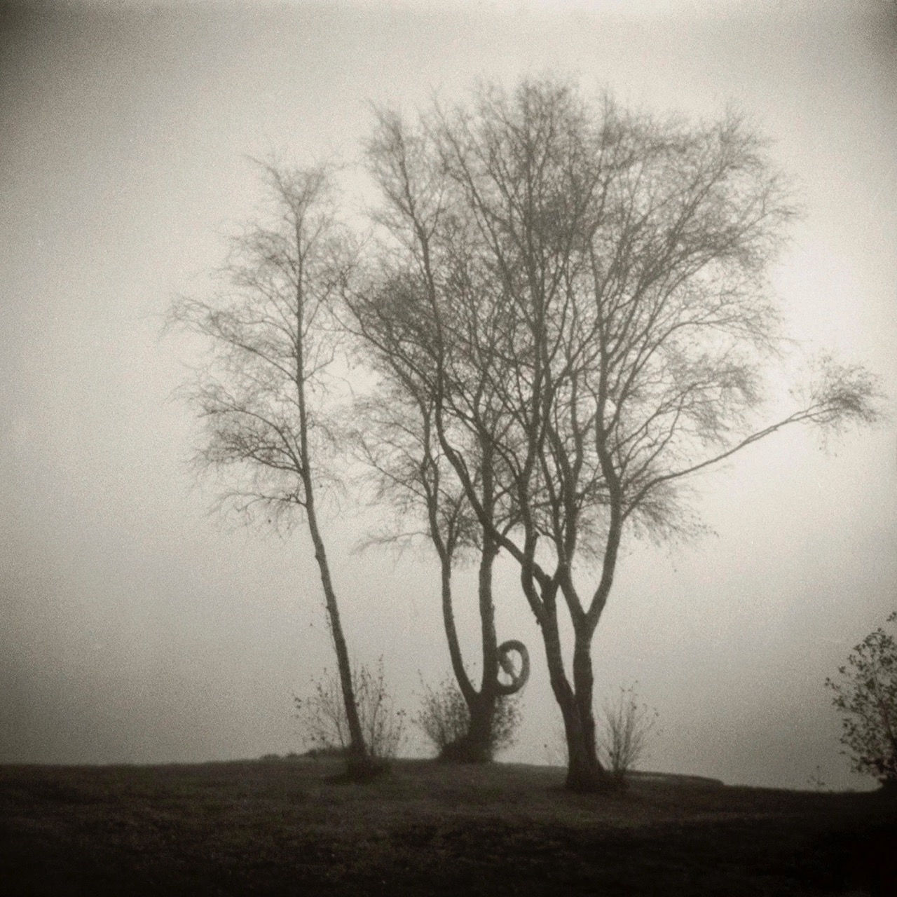 Øyvind Hjelmen, Beeing Here, 2024